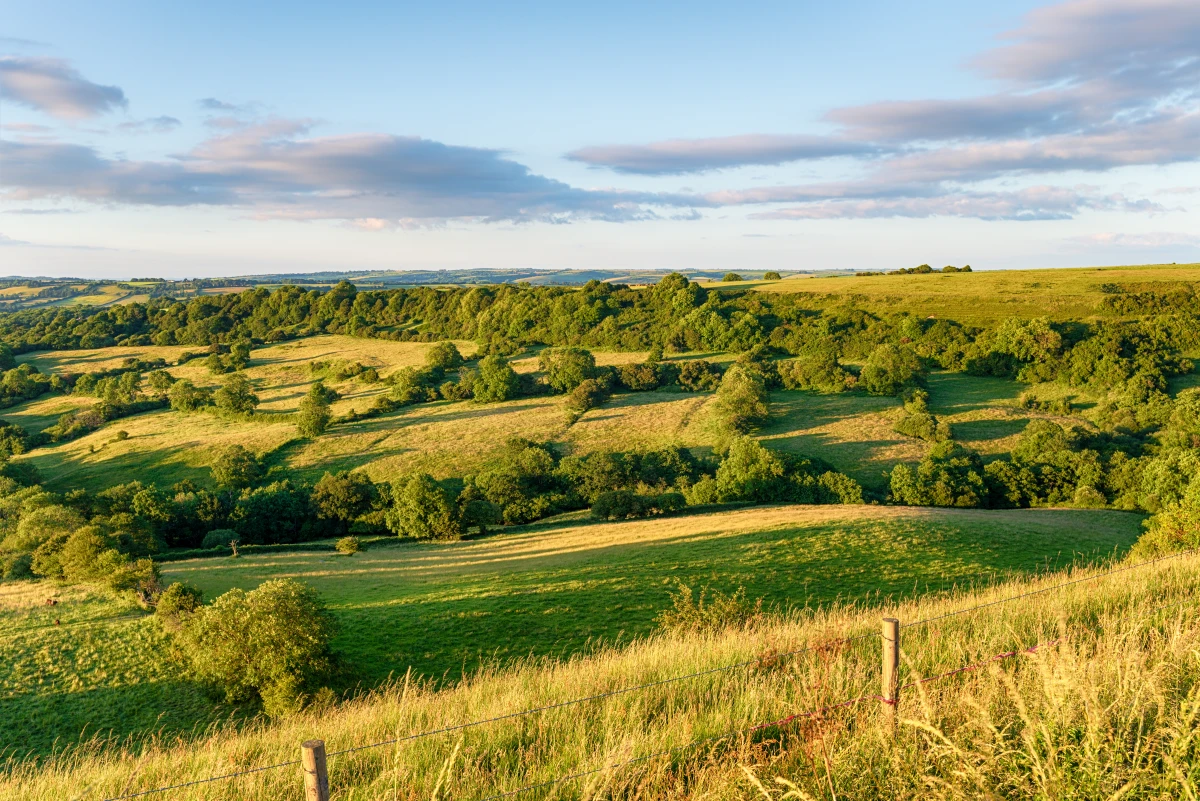 Droits de préemption sur les terrains agricoles : Complexités et enjeux de la réglementation